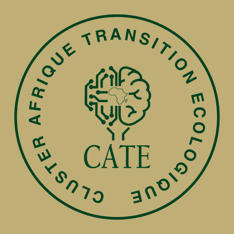 « CLUSTER AFRIQUE TRANSITION ÉCOLOGIQUE »