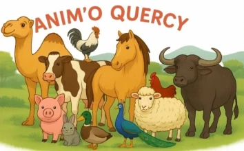 ANIM'O QUERCY