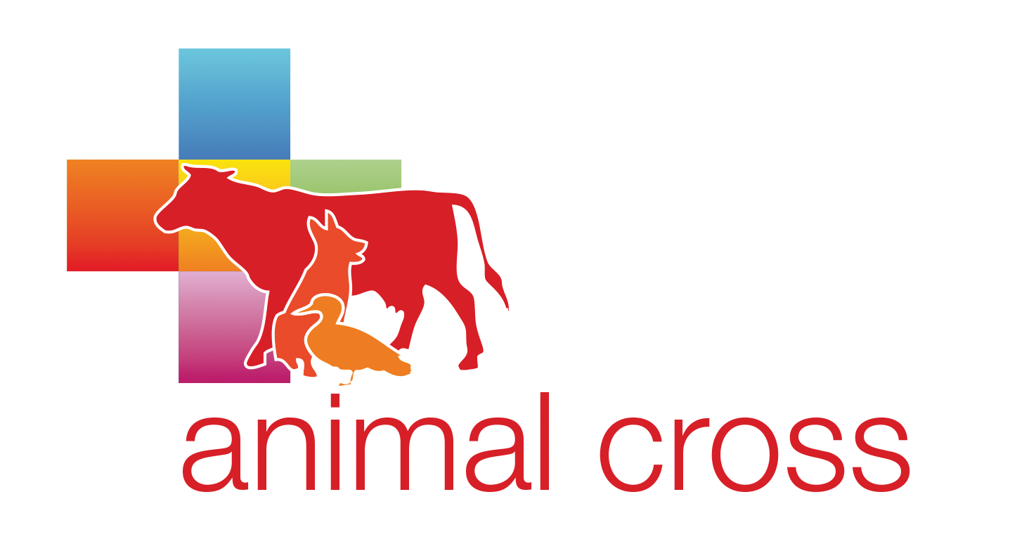 ANIMAL CROSS
