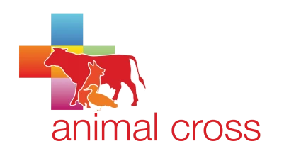ANIMAL CROSS