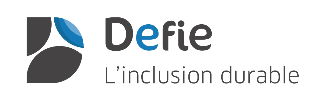 Développement emploi formation insertion économique