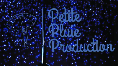 PETITE PLUIE PRODUCTION (P.P PROD)