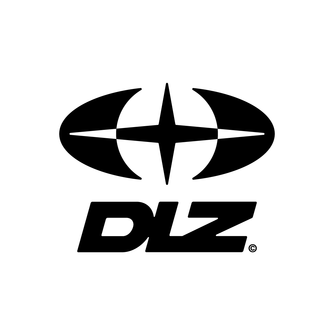 DLZ29