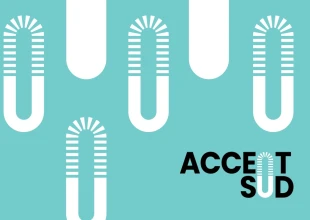 ACCENT SUD - ASSOCIATION POUR LA COOPÉRATION CULTURELLE ET L'ÉCONOMIE NUMÉRIQUE TRANSRÉGIONALE AVEC L'EUROPE DU SUD