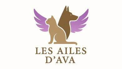 LES AILES D'AVA