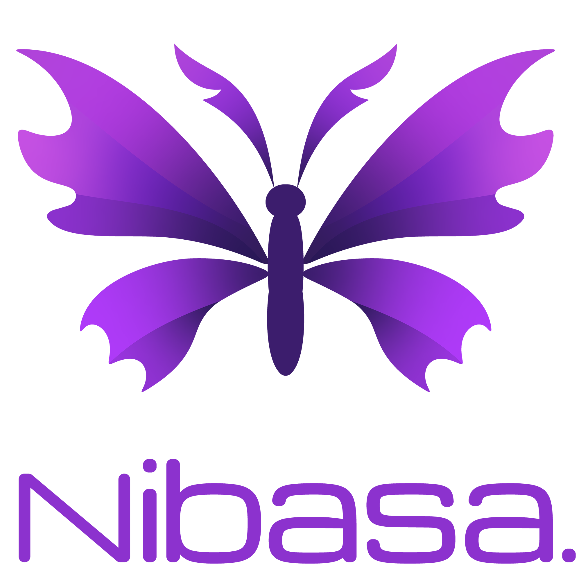 Je rejoins Nibasa : Devenez notre 3ème joueur amateur