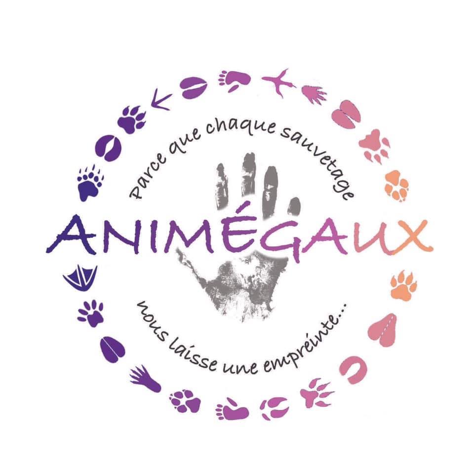 ANIMEGAUX
