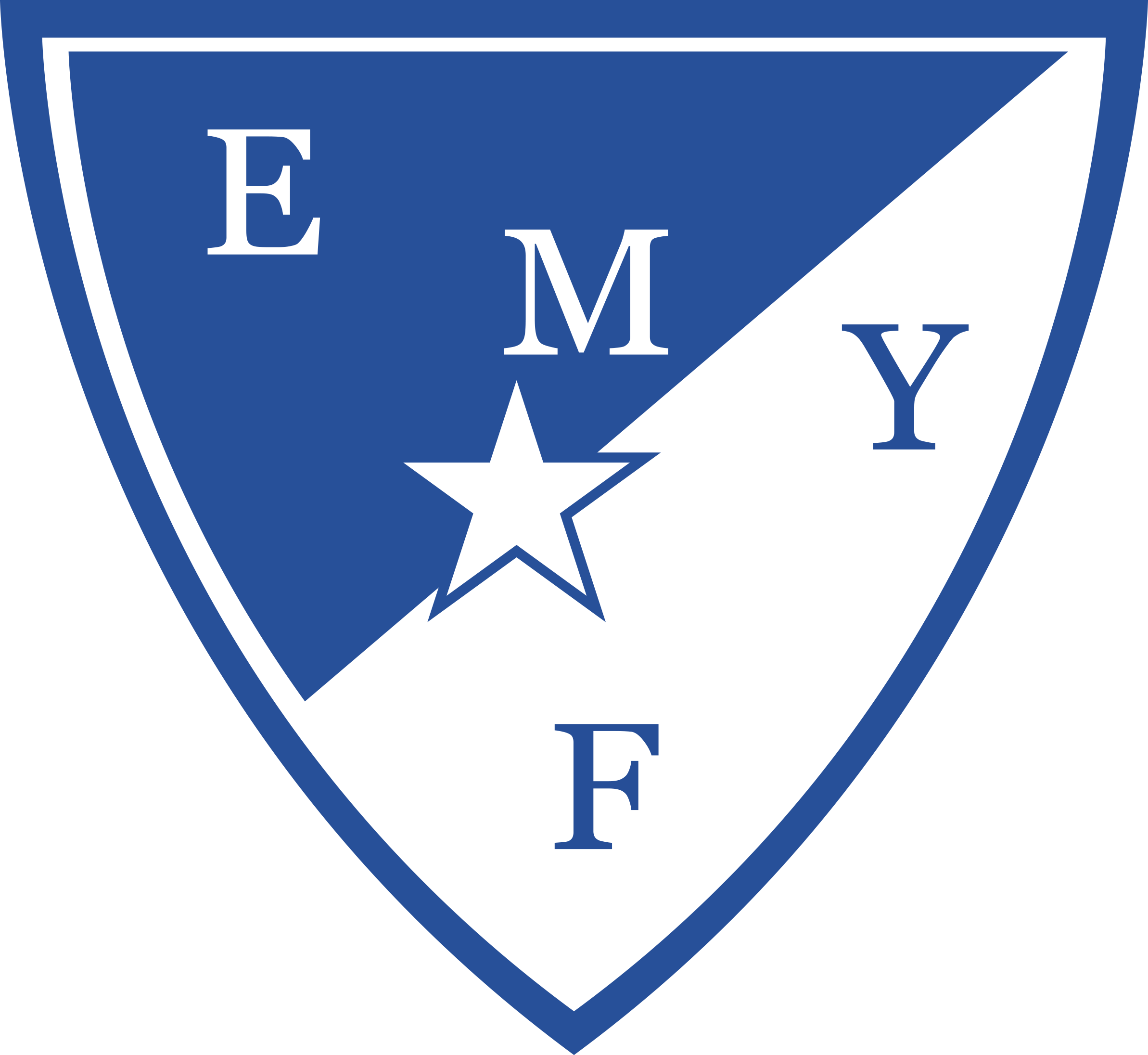Etoile Moulins Yzeure Football (EMYF)