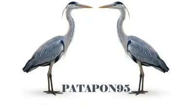 PATAPON95