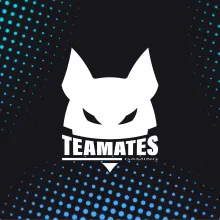TEAMATES GAMING ESPORT CLUB