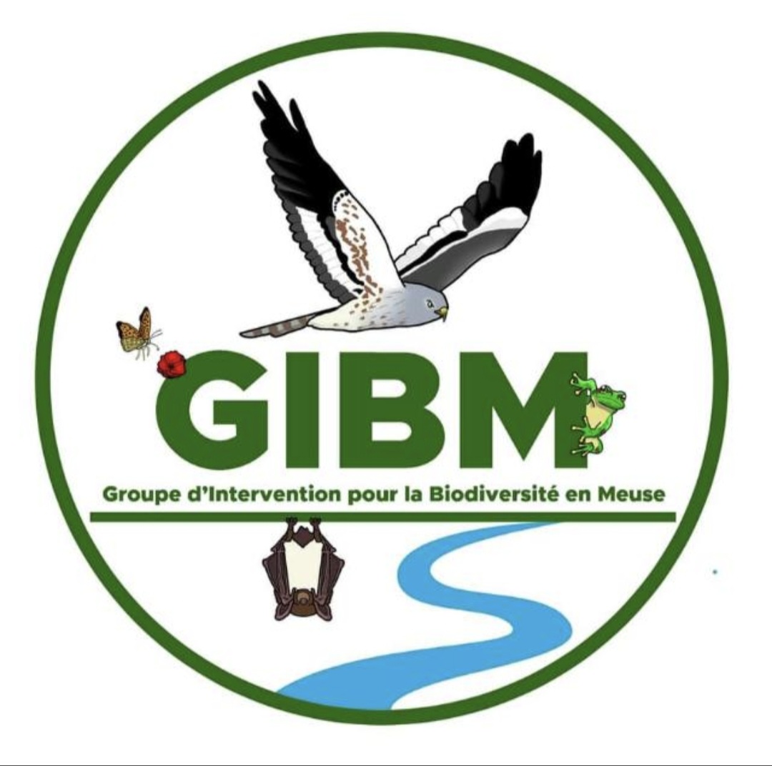 Groupe d'Intervention pour la Biodiversite en Meuse