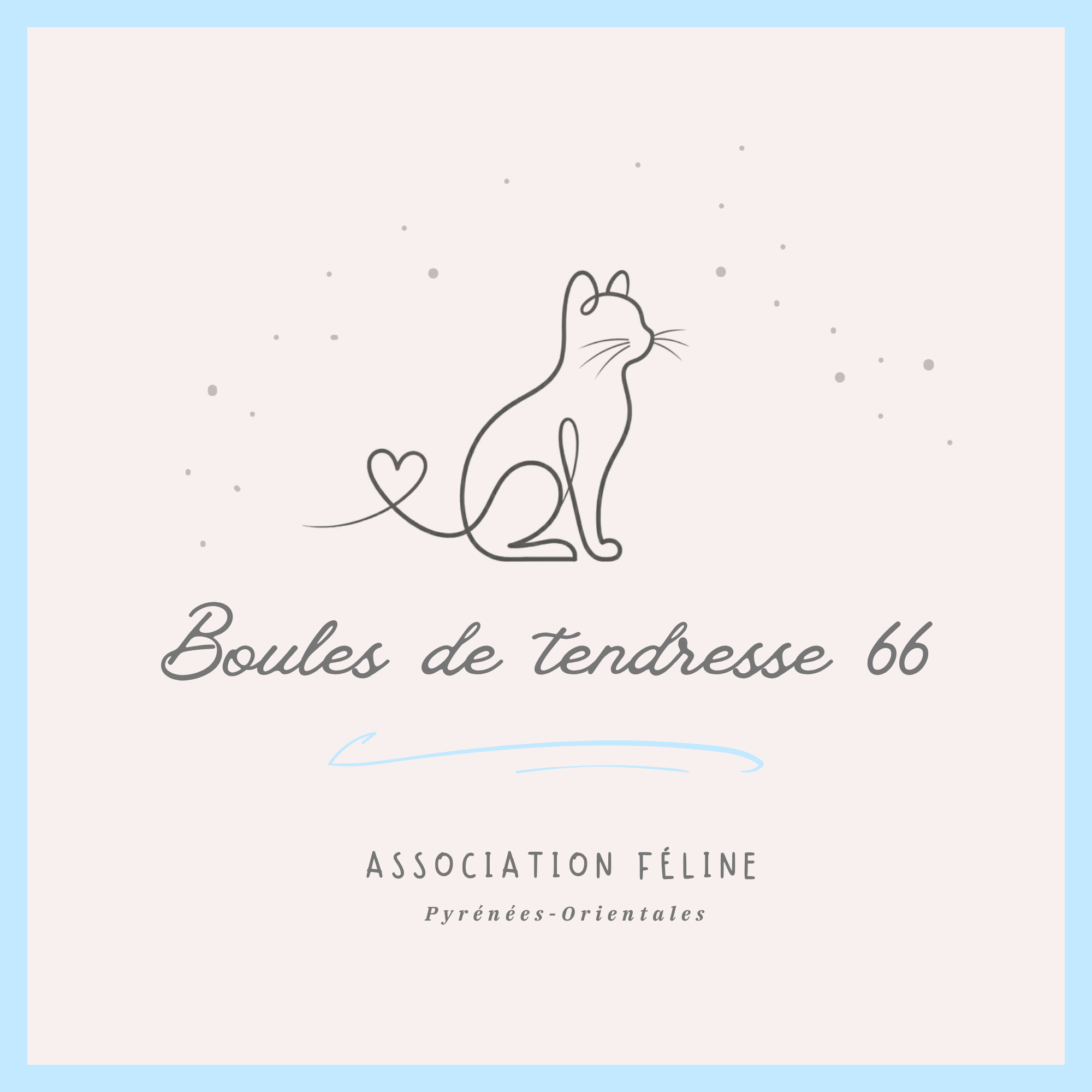 "BOULES DE TENDRESSE 66"