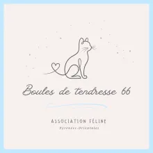 "BOULES DE TENDRESSE 66"