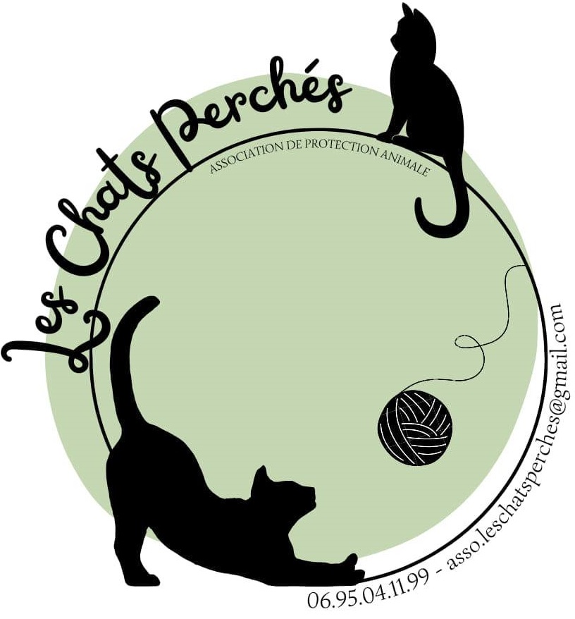 ASSOCIATION LES CHATS PERCHÉS