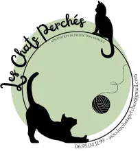ASSOCIATION LES CHATS PERCHÉS