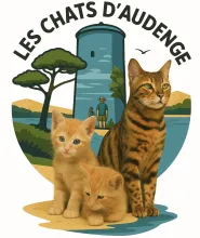 LES CHATS D'AUDENGE