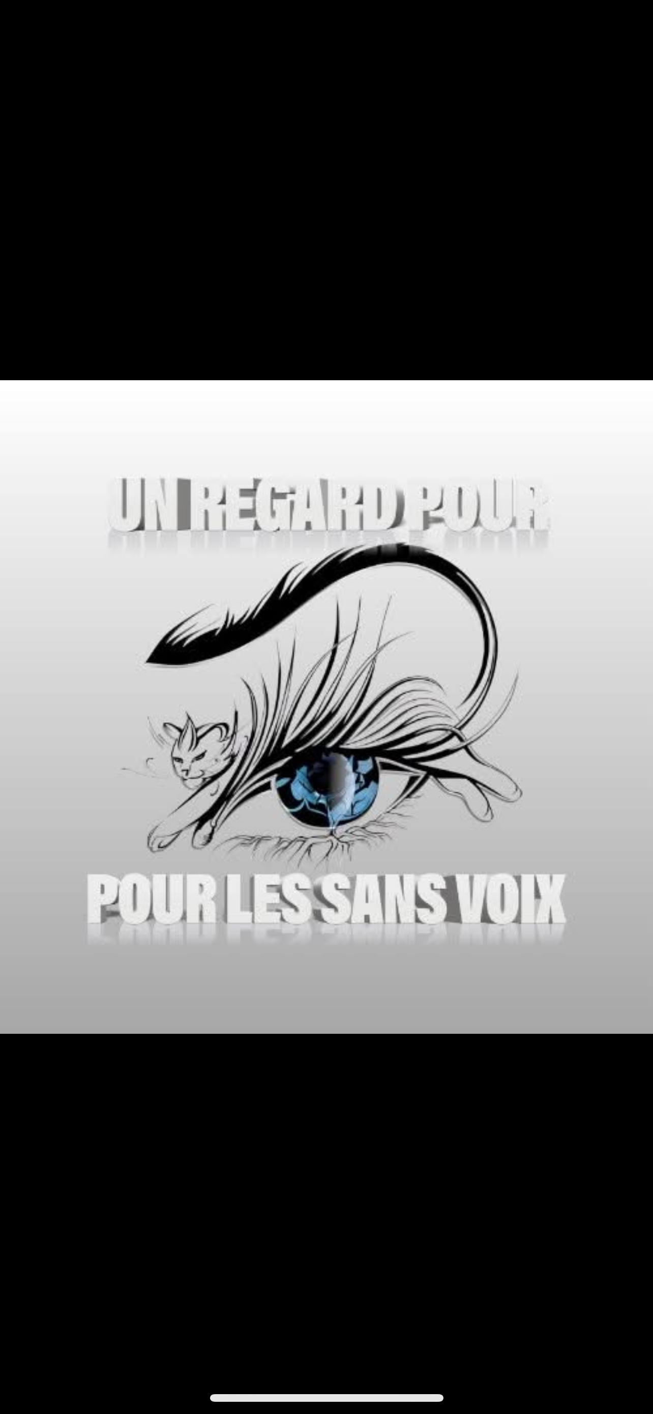UN REGARD POUR LES SANS VOIX