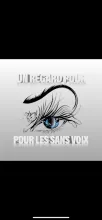 UN REGARD POUR LES SANS VOIX