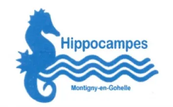 Les Hippocampes Club Nautique