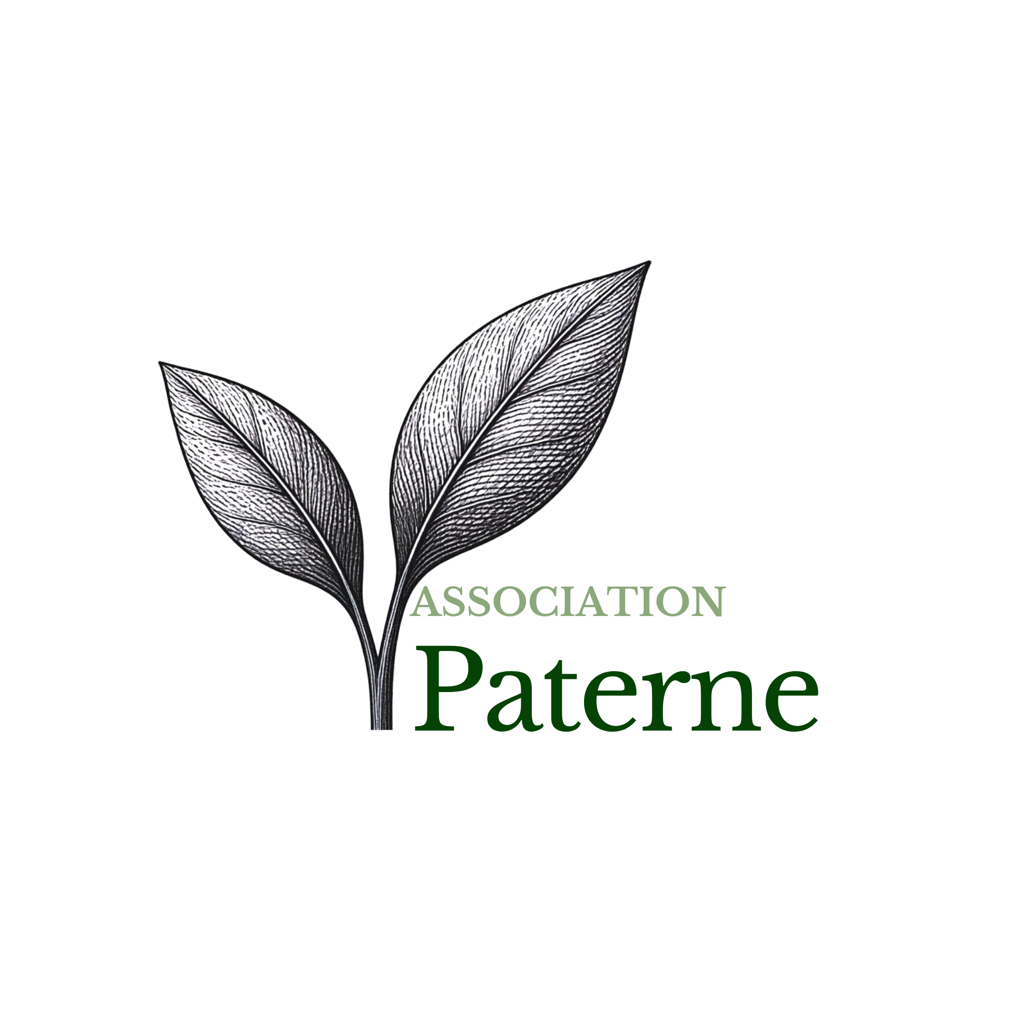 Association Paterne