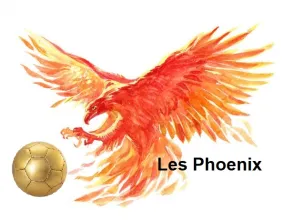 Phoenix Football School
