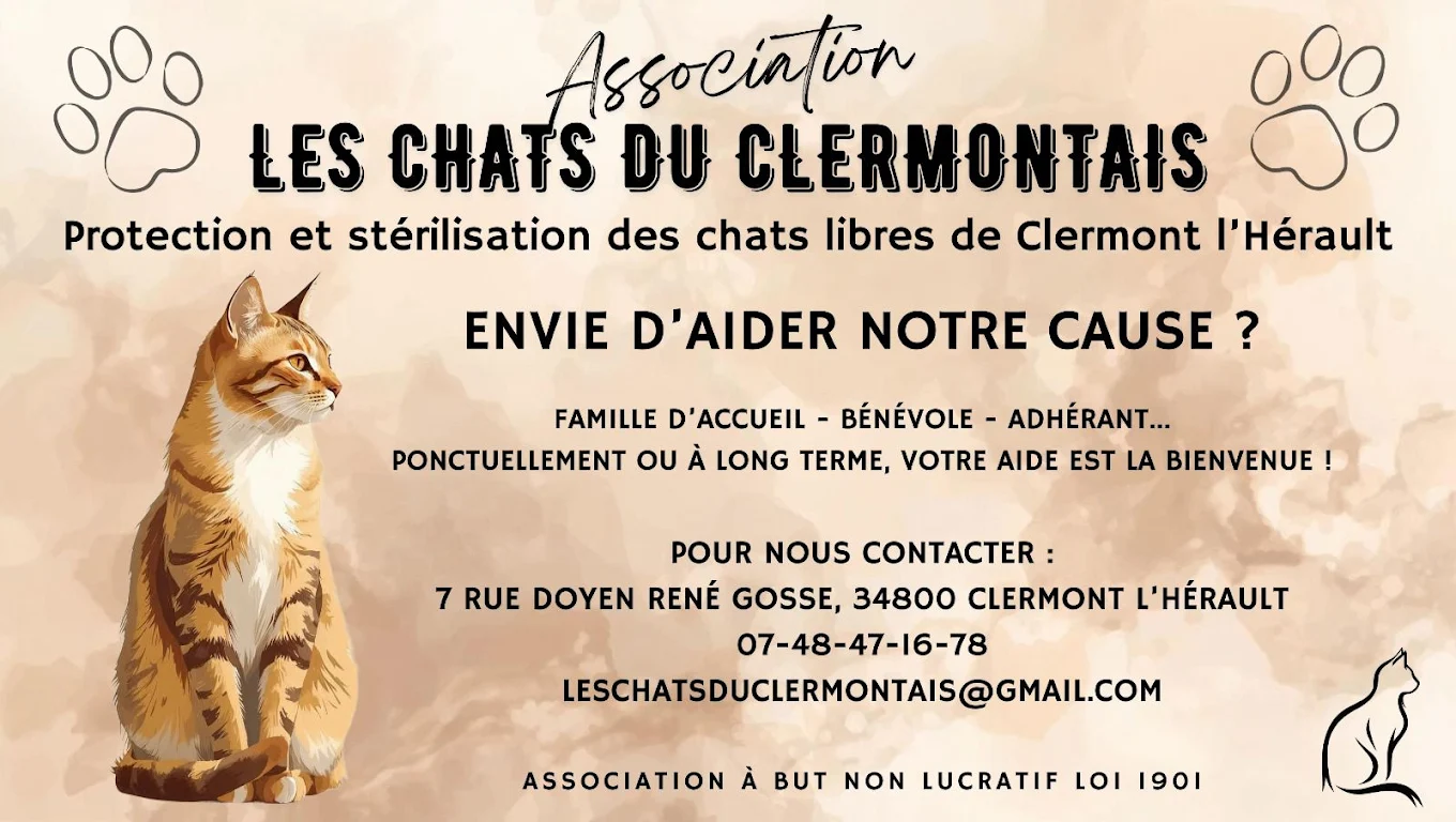 LES CHATS DU CLERMONTAIS - LA CATOUNIERE