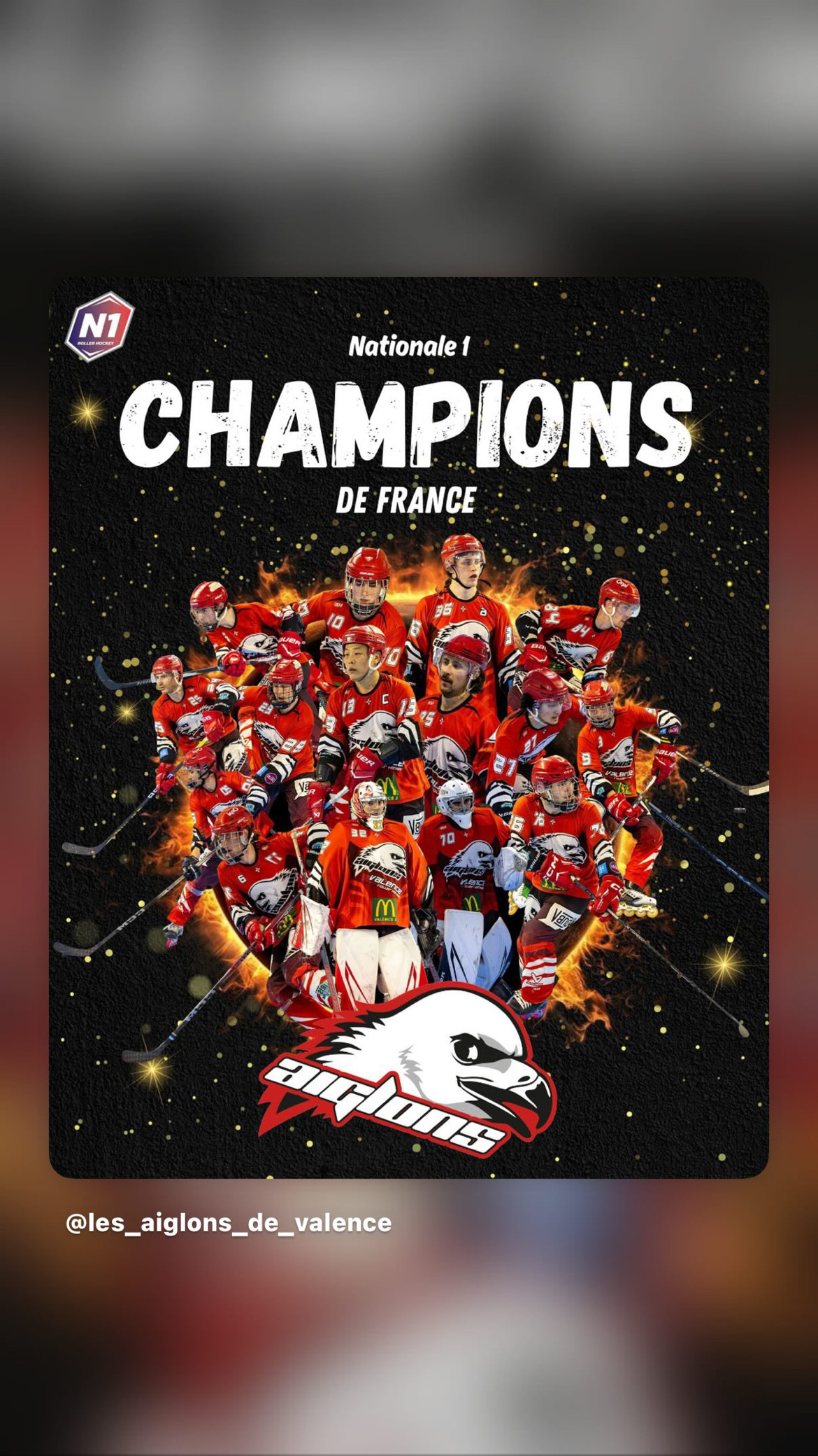 VALENCE ROLLER HOCKEY - LES AIGLONS