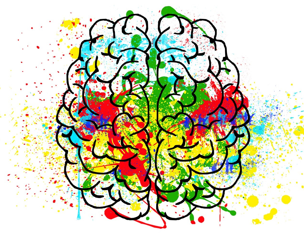 I manage social media for an inclusion-focused association