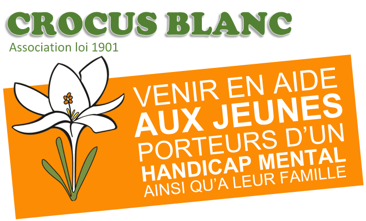 Crocus Blanc