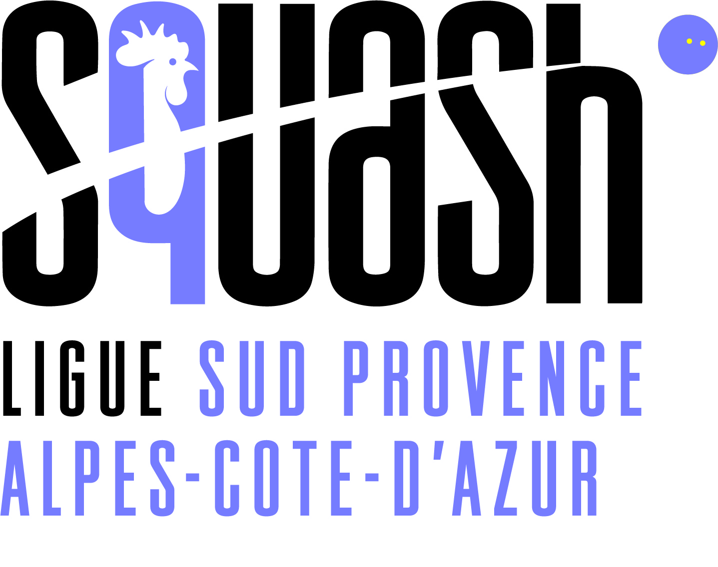 Je participe au développement et à la promotion du squash dans ma région