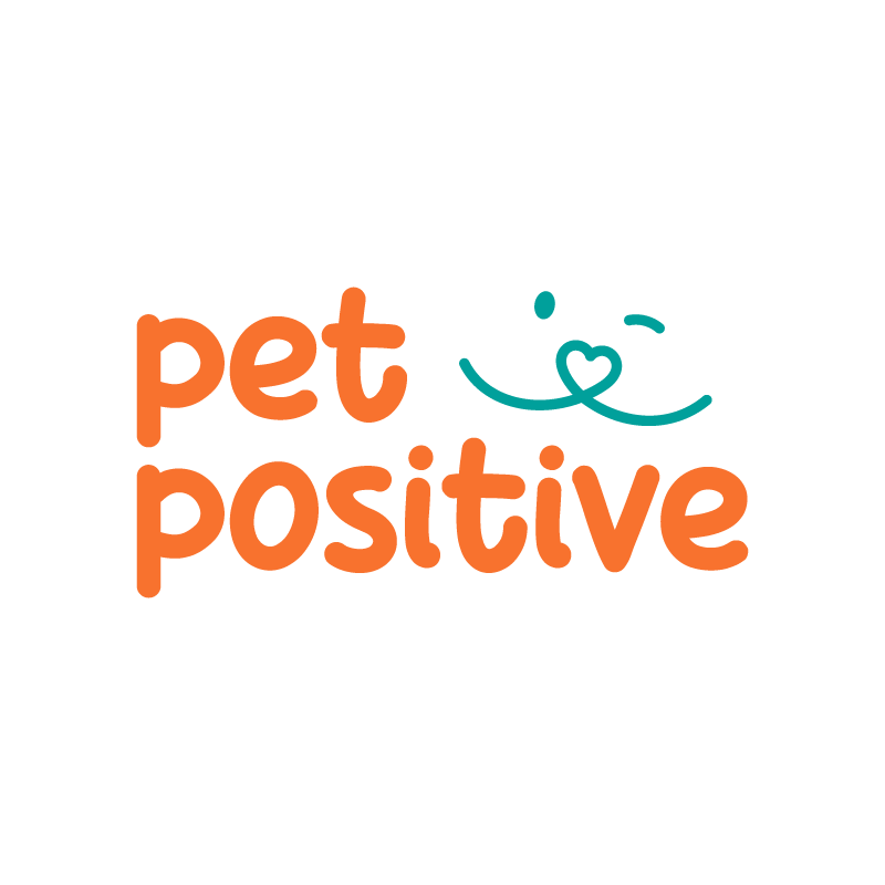 Je créer du contenus qui donnent envie d'agir pour les animaux sur les réseaux sociaux