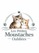 LES PETITES MOUSTACHES OUBLIEES