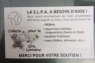 Société Lorraine pour la Protection des Animaux