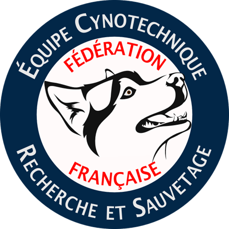 Je mets en place la stratégie marketing d'une fédération cynotechnique