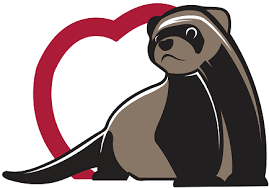 IL COURT IL COURT LE FURET