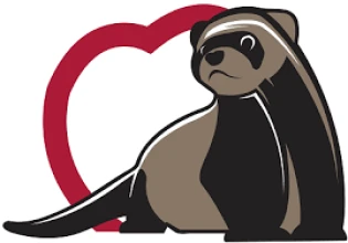 IL COURT IL COURT LE FURET