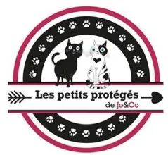 Association Les petits protégés de Jo and Co
