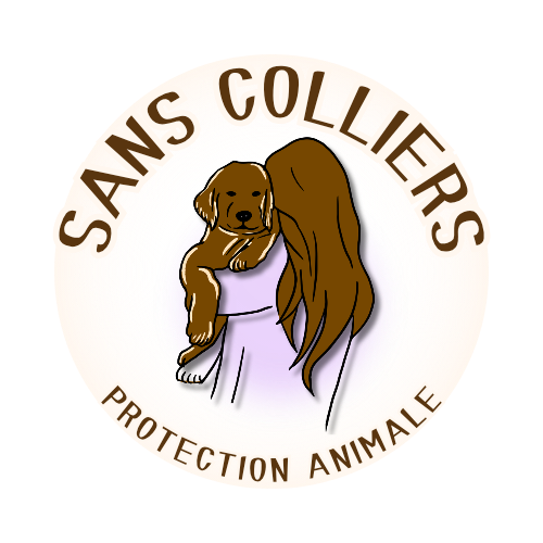 Sans Colliers