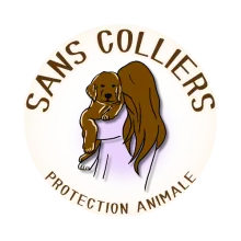 Sans Colliers