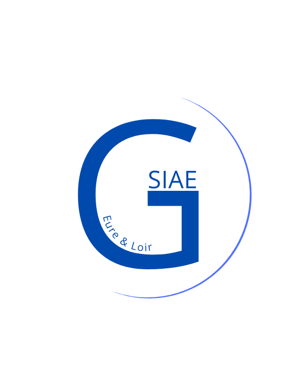 GSIAE 28