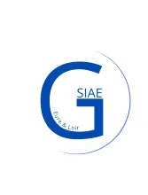 GSIAE 28