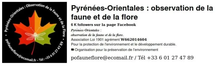 Pyrénées-Orientales : observation de la faune et de la flore