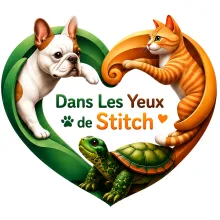 Dans les yeux de stitch