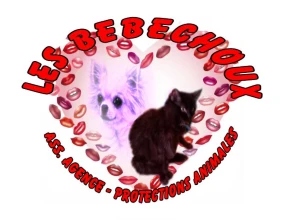 Association protectrice des animaux les bébéchoux