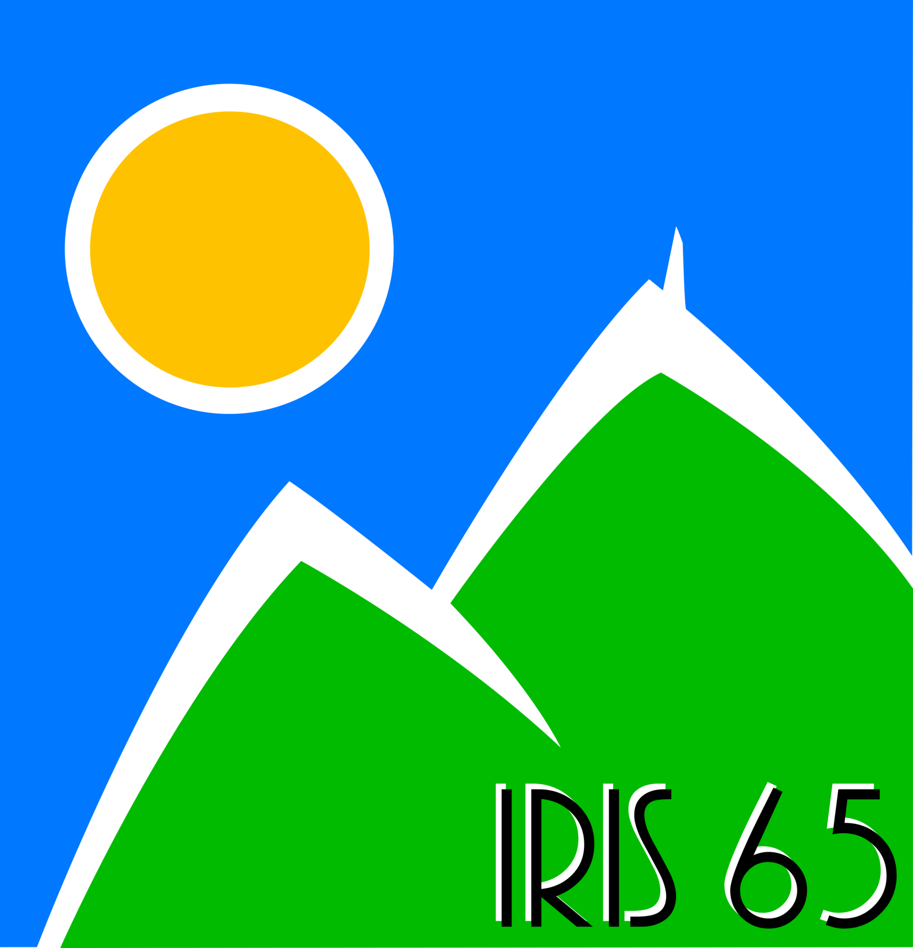 Association d'Entraide entre les Pupilles et anciens Pupilles de l'Etat et de l'aide sociale à l'enfance - IRIS 65