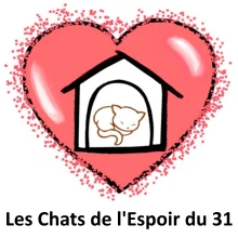 Les Chats de l'Espoir du 31