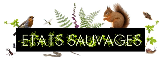 Etats Sauvages