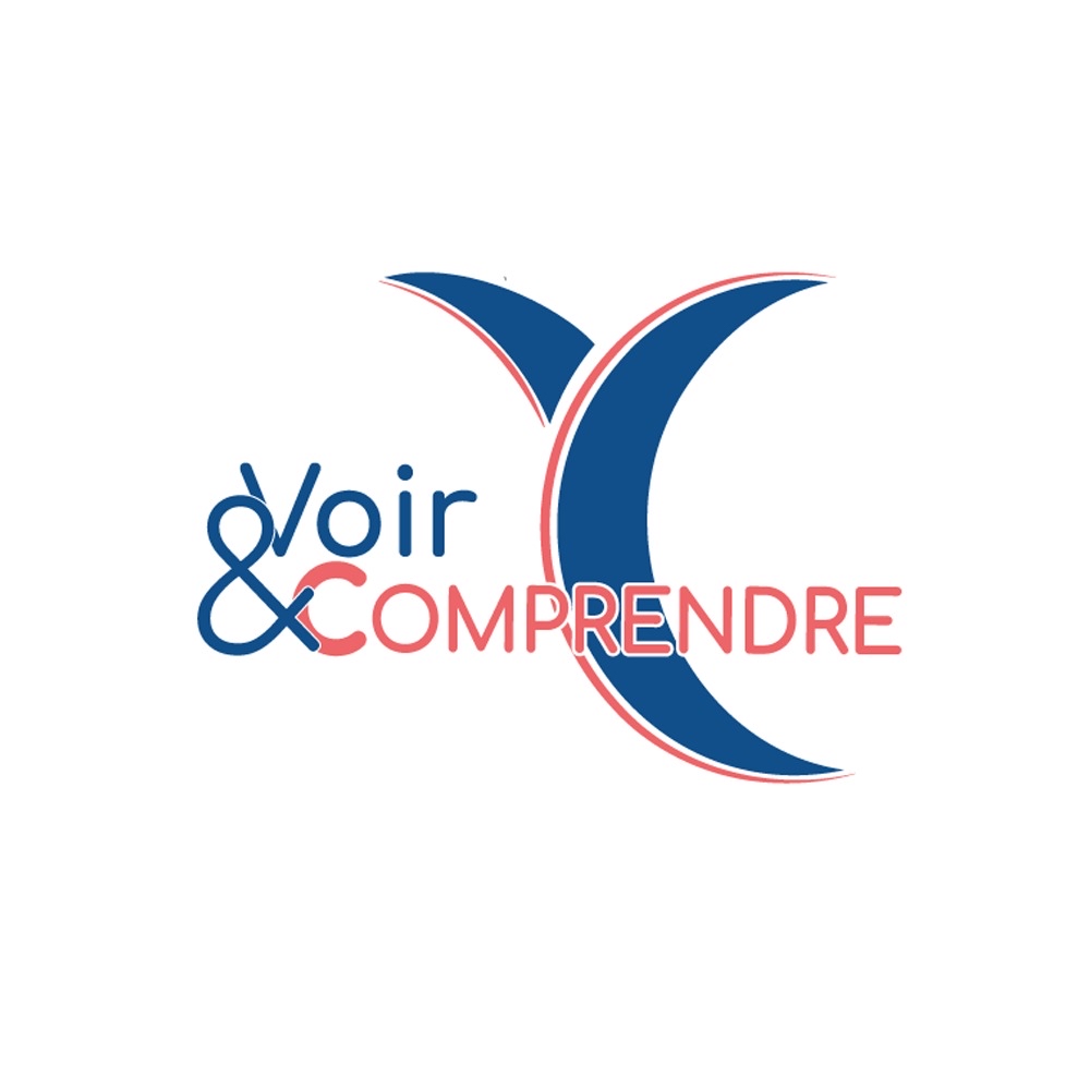 Voir et Comprendre