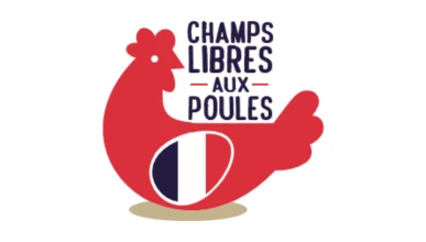 Champs Libres aux Poules
