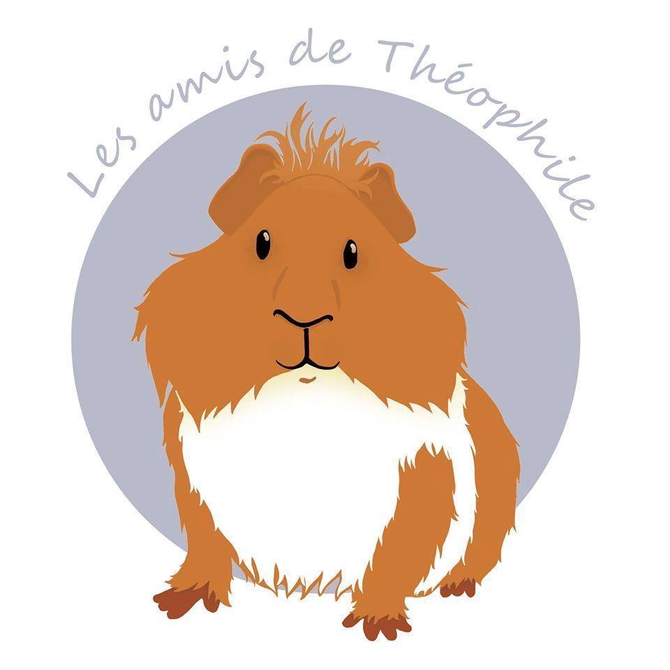 Les Amis de Théophile